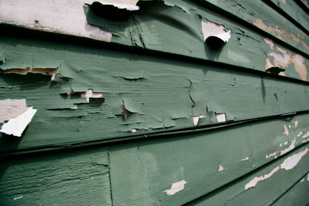 Best Weatherproofing and Sealing  in Hasley Nyon, CA