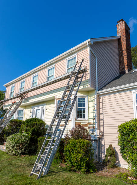 Best Steel Siding Installation  in Hasley Nyon, CA